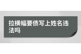 吕梁为什么选择专业追讨公司来处理您的债务纠纷？